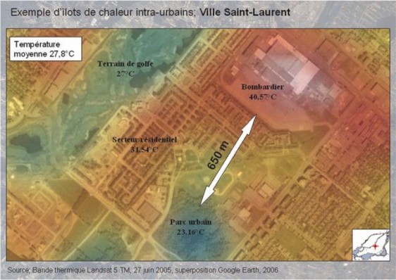 8 Végétation - De grands écarts de température sont causés par l’absence de végétation