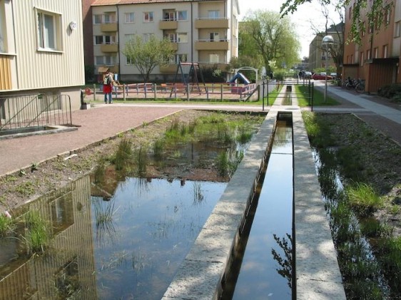 8 Végétation - À Malmö, un système de traitement naturel des eaux de pluie
